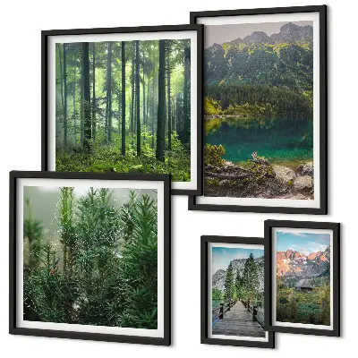 Lot de tableaux encadrés sur le thème des paysages de montagne et forêts