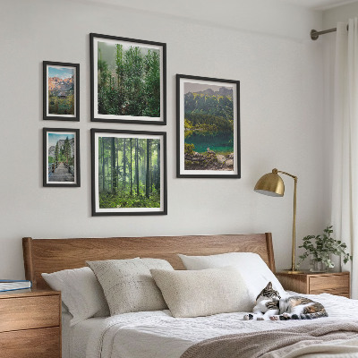 Lot de tableaux encadrés Paysages de montagne et forêts