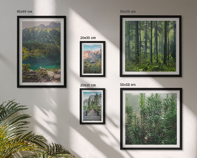 Lot de tableaux encadrés Paysages de montagne et forêts