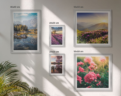 Tableau de décoration murale Paysages nature fleurs montagnes