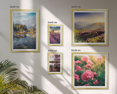 Tableau de décoration murale Paysages nature fleurs montagnes