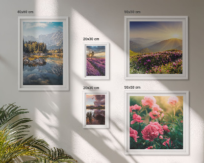 Tableau de décoration murale Paysages nature fleurs montagnes
