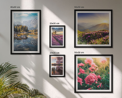 Tableau de décoration murale Paysages nature fleurs montagnes