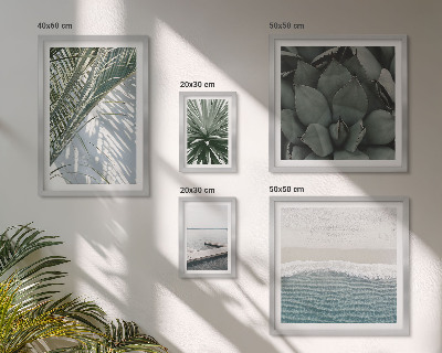 Lot de tableaux encadrés Plantes tropicales avec la mer