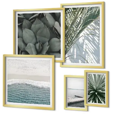 Lot de tableaux encadrés représentant des plantes tropicales avec la mer