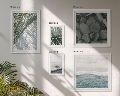 Lot de tableaux encadrés Plantes tropicales avec la mer