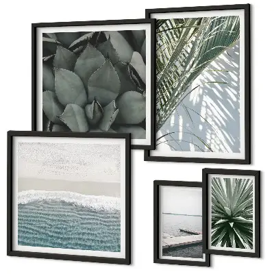 Lot de tableaux encadrés représentant des plantes tropicales avec la mer