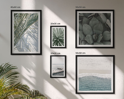 Lot de tableaux encadrés Plantes tropicales avec la mer