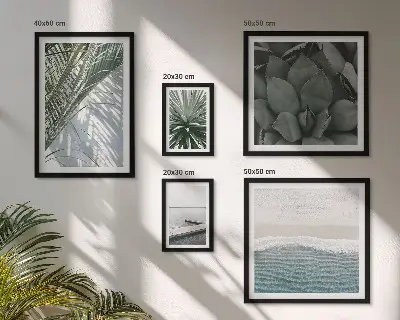 Lot de tableaux encadrés représentant des plantes tropicales avec la mer