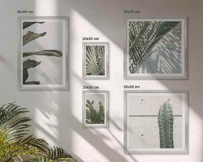 Ensemble de 5 tableaux Accents végétaux modernes