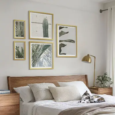 Accents végétaux modernes ensemble de 5 tableaux