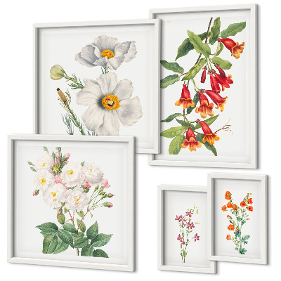 Tableau de décoration murale Illustrations botaniques florales