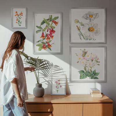 Tableau de décoration murale Illustrations botaniques florales