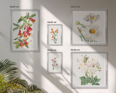 Tableau de décoration murale Illustrations botaniques florales