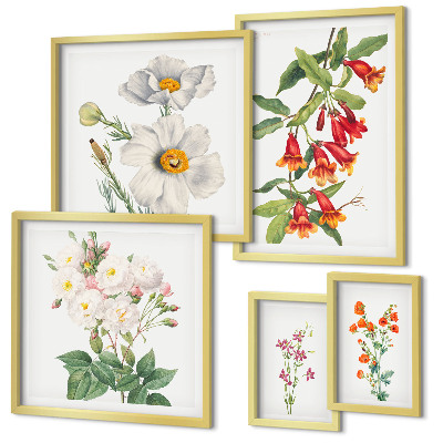 Tableau de décoration murale Illustrations botaniques florales