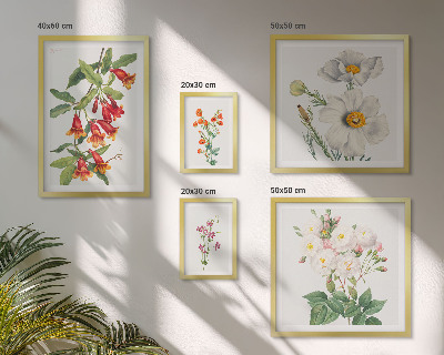 Tableau de décoration murale Illustrations botaniques florales