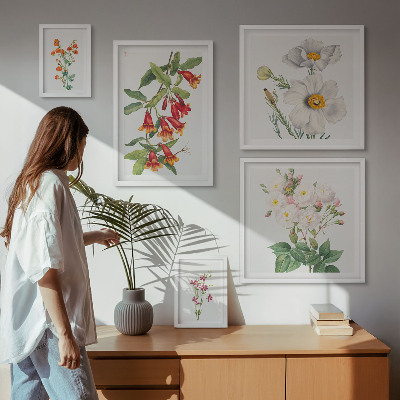 Tableau de décoration murale Illustrations botaniques florales