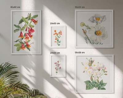 Tableau de décoration murale Illustrations botaniques florales