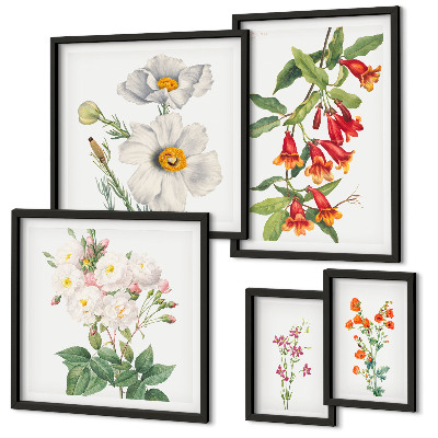 Tableau de décoration murale Illustrations botaniques florales
