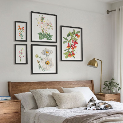 Tableau de décoration murale Illustrations botaniques florales