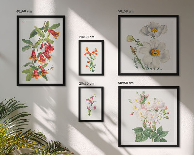 Tableau de décoration murale Illustrations botaniques florales