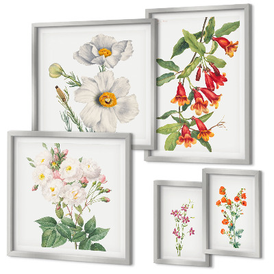 Tableau de décoration murale Illustrations botaniques florales