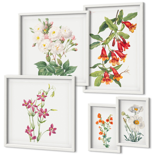 Lot de tableaux encadrés Motifs floraux botaniques