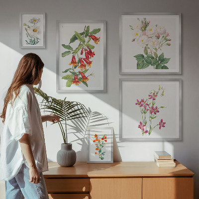Lot de tableaux encadrés Motifs floraux botaniques