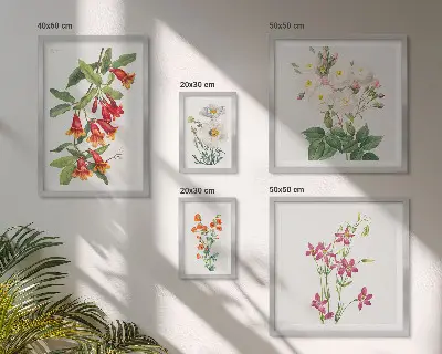Lot de tableaux encadrés avec motifs floraux botaniques