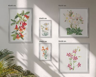 Lot de tableaux encadrés Motifs floraux botaniques