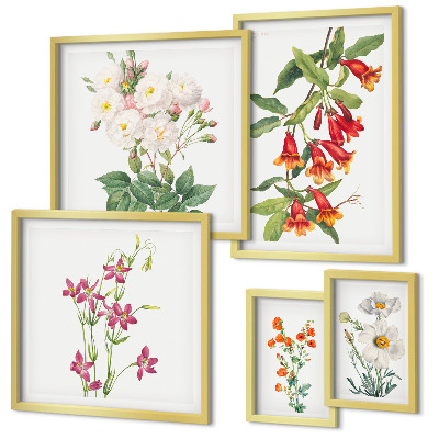 Lot de tableaux encadrés Motifs floraux botaniques