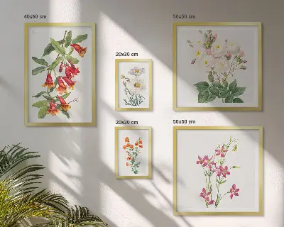 Lot de tableaux encadrés avec motifs floraux botaniques