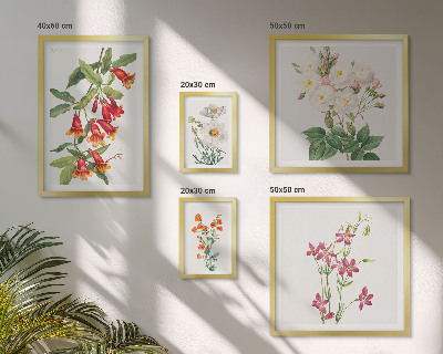 Lot de tableaux encadrés Motifs floraux botaniques