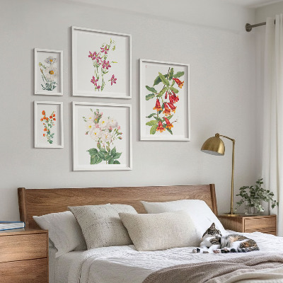 Lot de tableaux encadrés Motifs floraux botaniques