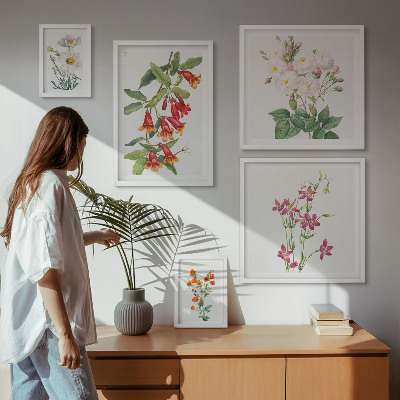 Lot de tableaux encadrés Motifs floraux botaniques