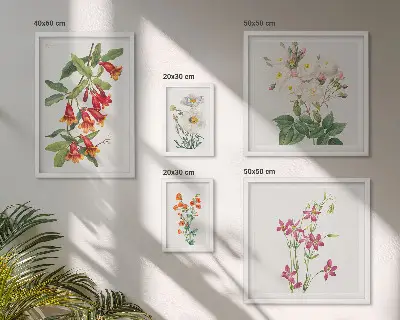 Lot de tableaux encadrés avec motifs floraux botaniques
