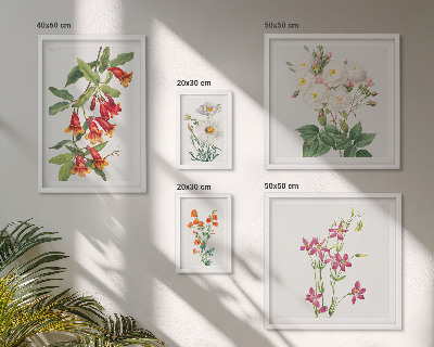Lot de tableaux encadrés Motifs floraux botaniques