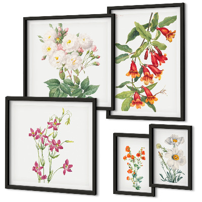 Lot de tableaux encadrés Motifs floraux botaniques