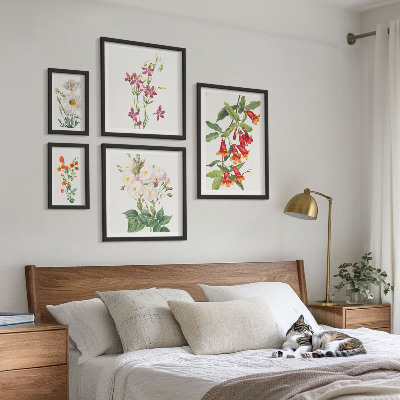 Lot de tableaux encadrés Motifs floraux botaniques
