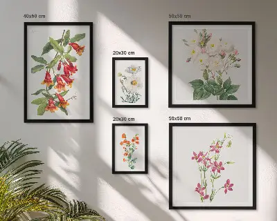 Lot de tableaux encadrés avec motifs floraux botaniques