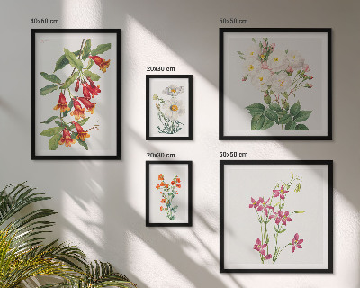 Lot de tableaux encadrés Motifs floraux botaniques