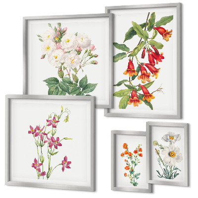 Lot de tableaux encadrés Motifs floraux botaniques