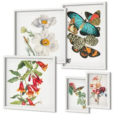 Ensemble de 5 tableaux avec motifs de fleurs, papillons et oiseaux style vintage