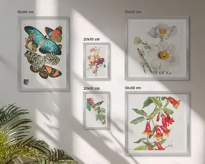 Ensemble de 5 tableaux avec motifs de fleurs, papillons et oiseaux style vintage