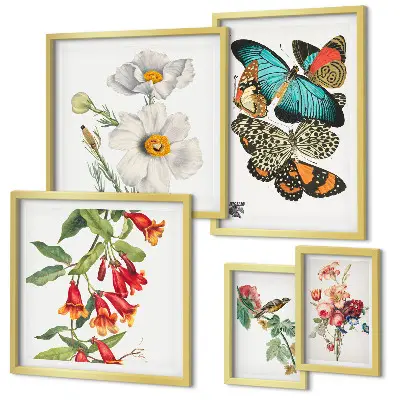 Ensemble de 5 tableaux avec motifs de fleurs, papillons et oiseaux style vintage