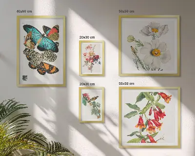 Ensemble de 5 tableaux avec motifs de fleurs, papillons et oiseaux style vintage