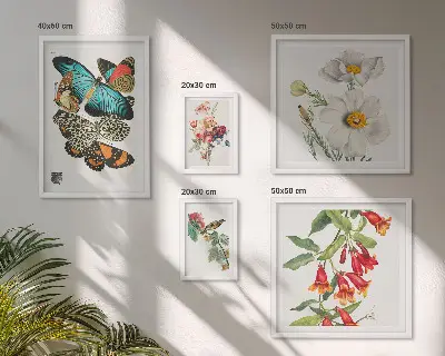 Ensemble de 5 tableaux avec motifs de fleurs, papillons et oiseaux style vintage