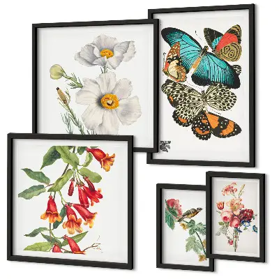 Ensemble de 5 tableaux avec motifs de fleurs, papillons et oiseaux style vintage