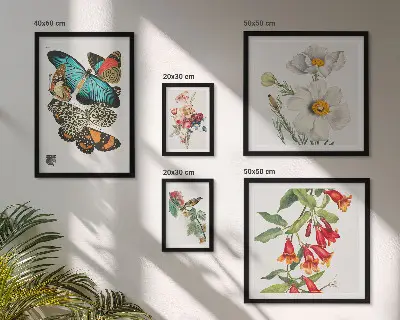 Ensemble de 5 tableaux avec motifs de fleurs, papillons et oiseaux style vintage