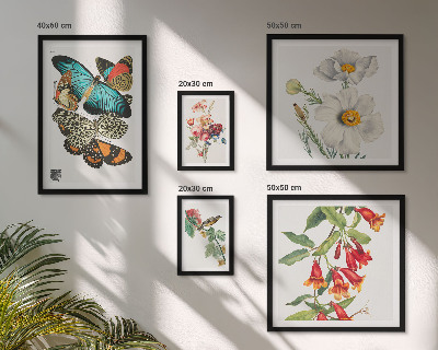 Ensemble de 5 tableaux Fleurs, papillons, oiseaux, décorations vintage